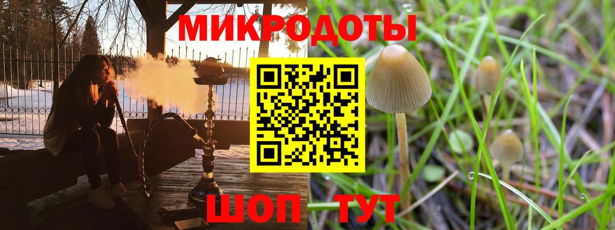 Щёлково  Галлюциногенные грибы GOLDEN TEACHER  Вход с VPN 